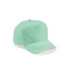 Hendrix Cap in Light Green