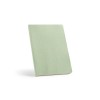 Dostoevsky Notebook in Light Green