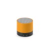 Gauss Speaker in Orange