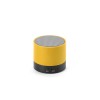 Gauss Speaker in Yellow