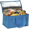 Rainham 12 Can Cooler Bag. in bright-blue