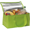 Rainham 12 Can Cooler Bag. in lime