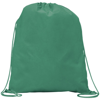 Rainham Drawstring Backpack Bag in green