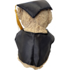 Plush graduation bear in Various