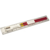 30cm Plastic ruler with two pencils. in white