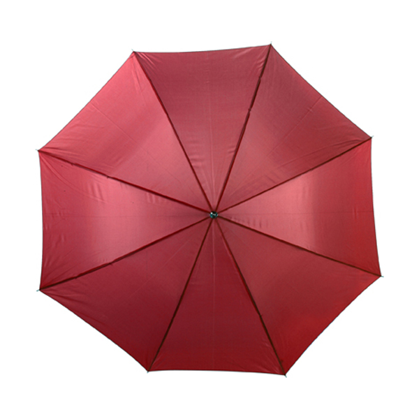 Umbrella in bordeaux