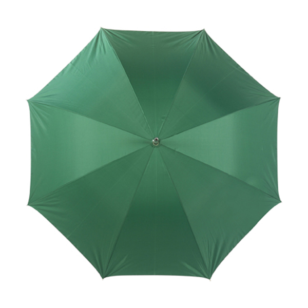 Umbrella with silver underside in green-and-silver