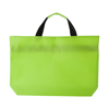 Non-woven document bag. in lime