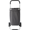 Cooler shopping trolley in Grey