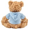 Plush teddy bear with hoodie in Light Blue