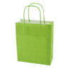 Paper bag (180 x 220 x 80mm) in Lime
