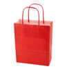 Paper bag (220 x 310 x 100mm) in Red