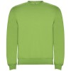 Clasica kids crewneck sweater in Oasis Green