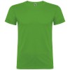 Beagle short sleeve kids t-shirt in Grass Green