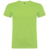 Beagle short sleeve kids t-shirt in Oasis Green