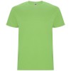 Stafford short sleeve kids t-shirt in Oasis Green