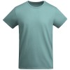 Breda short sleeve kids t-shirt in Dusty Blue
