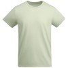 Breda short sleeve kids t-shirt in Mist Green
