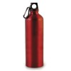 Pollock Glossy 1litre Sports Bottle in Red