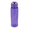 Tarn Coloured 750ml Sports Bottle in Purple