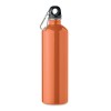 REBIG MOSS - Single wall bottle       750ml in Orange