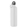 REBIG MOSS - Single wall bottle       750ml in White