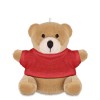 Teddy bear in red