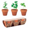Terracotta 3 herb pot set in Brown
