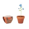 Terracotta pot 'forget me not' in Brown