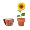 Terracotta pot 'sunflower' in Brown