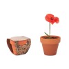 Terracotta pot 'poppy' in Brown