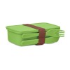 Lunch box with cutlery in Green