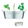 Zinc tub with 3 herbs seeds in Silver