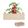 Tomato kit in wooden crate in Brown