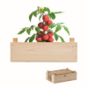 Tomato kit in wooden crate in wood
