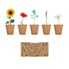 Flowers growing kit in beige