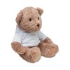 Teddy bear plush in White