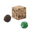 Herb seed bomb in carton box in Brown