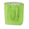 Foldable cooler shopping bag in Green