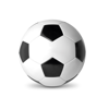 Soccer ball                     in white-and-black
