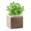 Compost with seeds "BASIL" in Beige