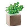 Compost with seeds "PARSLEY" in Beige