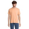 LEGEND T-Shirt Organic 175g in Orange