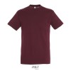 REGENT Uni T-Shirt 150g in Brown