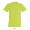 REGENT Uni T-Shirt 150g in Green