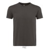 REGENT Uni T-Shirt 150g in Grey