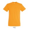 REGENT Uni T-Shirt 150g in Orange