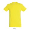 REGENT Uni T-Shirt 150g in Yellow