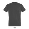 IMPERIAL MEN T-Shirt 190g in Grey
