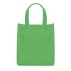 Dunluce Mini Bag in green